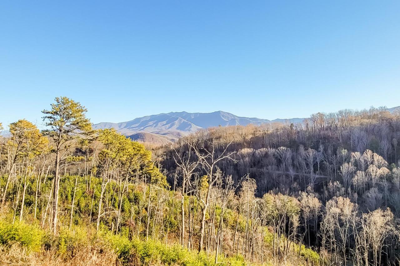3 Lazy Bears Chalet Gatlinburg Ngoại thất bức ảnh