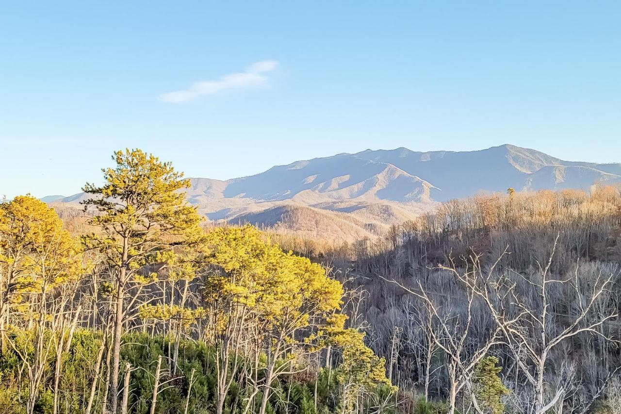 3 Lazy Bears Chalet Gatlinburg Ngoại thất bức ảnh